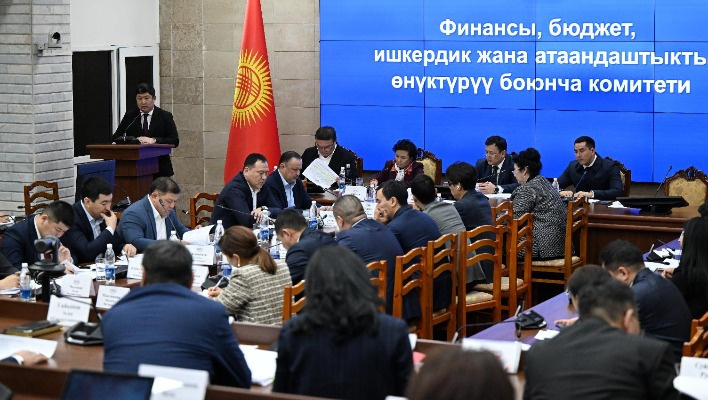 Комитет ЖК отклонил предложение создать Международный финансовый центр "Джалал-Абад"