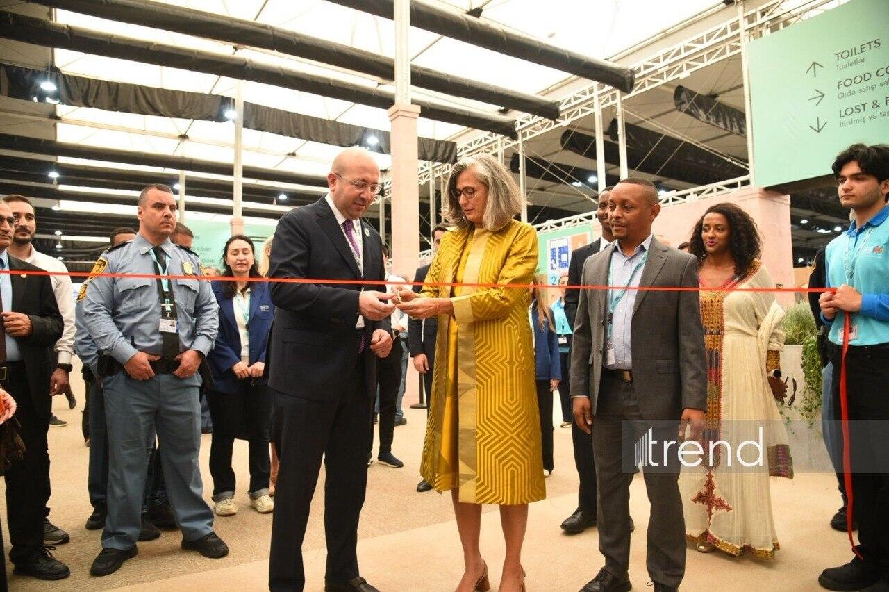 WUF13-də “Urban Expo” sərgisinin açılışı olub